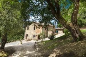 Tenuta della Selva