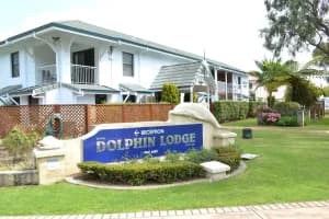 Dolphin Lodge Albany