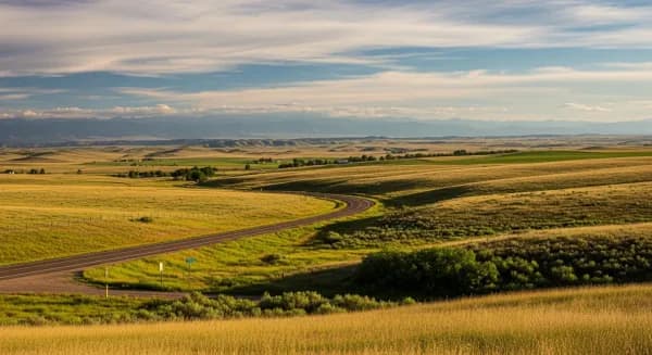 Adams & Weld Counties