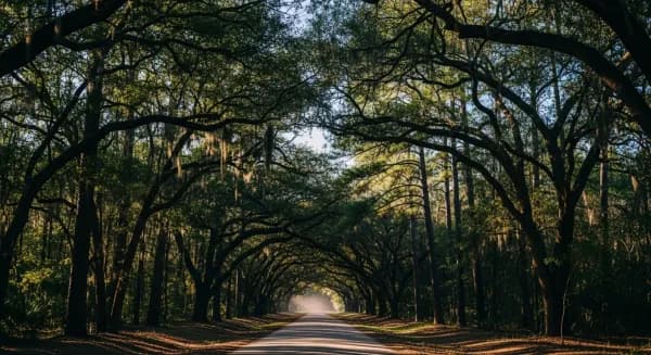 Aiken County SC