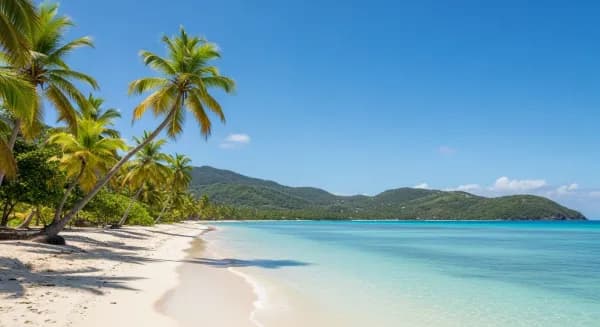 Leeward Island