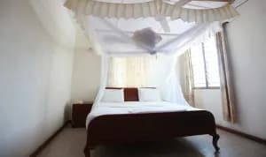 New Palm Tree Hotel