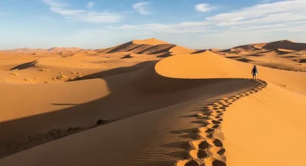 Al Liwa