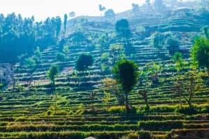 Serenity in Nepal: 5 Days & 4 Nights by Scenic Lakes