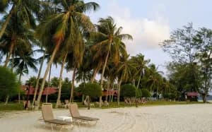Experience the Best of Malaysia: 8 Days & 7 Nights!