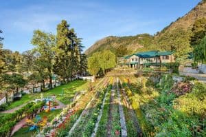 Shervani Hiltop Nainital