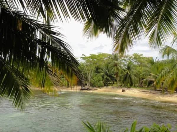 Ailigandí