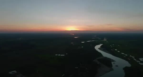 Arauca