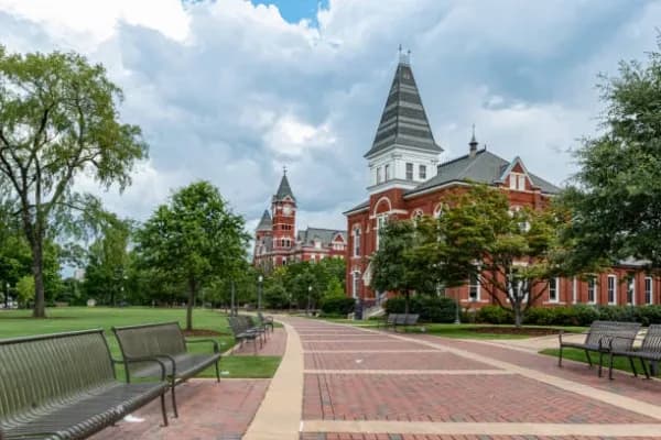 Auburn