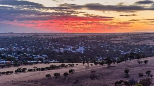 Avon Park