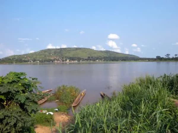 Basongo