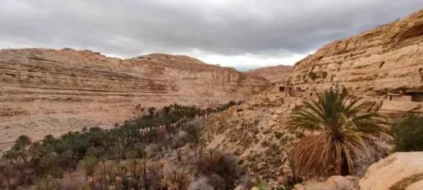 Biskra