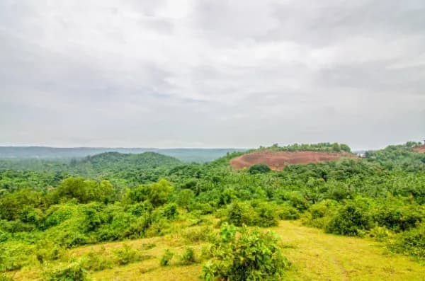 Almatti