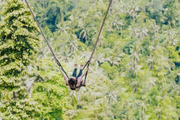 Real Bali Swing 3