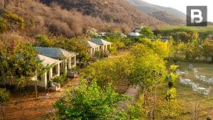 Beyond Stay Jungle Camp Sariska