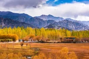 2 Nights & 3 Days Kashmir Tour: Unforgettable Beauty & Moments