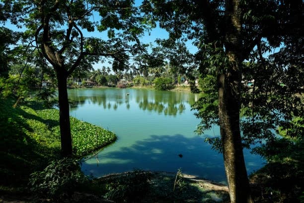 Best 5-Star Hotels in [City] Assam, India