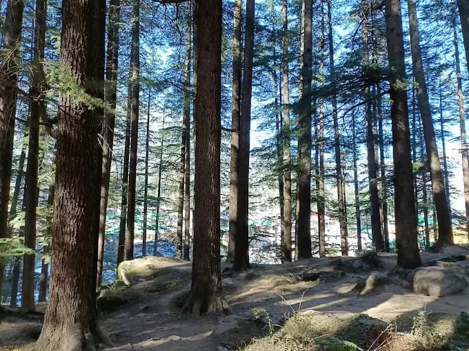 Hadimba Devi Temple Manali 2