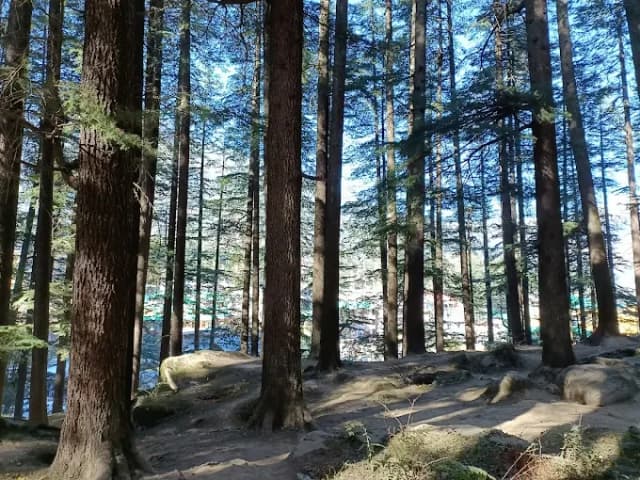 Hadimba Devi Temple Manali thumb 2