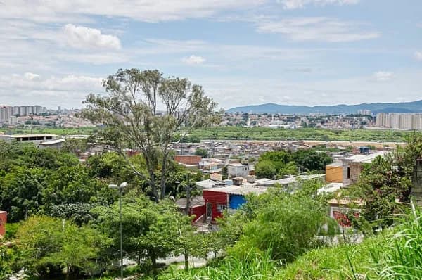 Arapiraca