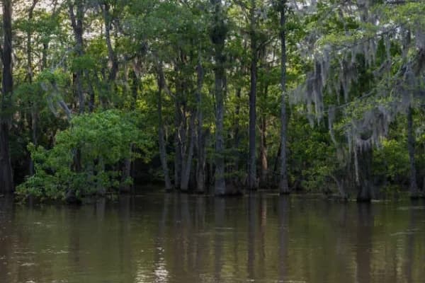 Bogalusa