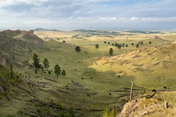 Chadron