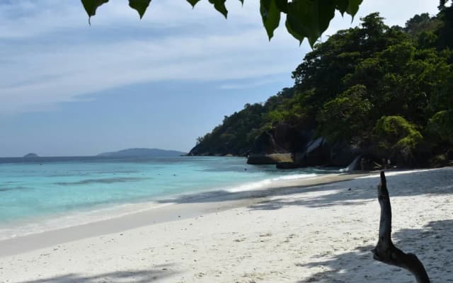 Similan Islands, Phang Nga thumb 2