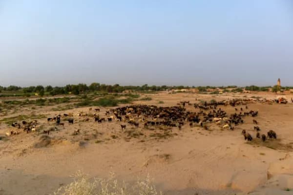 Chadarawari