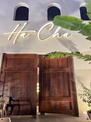Ha Cha thumb 3