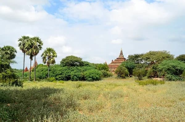 Agroha