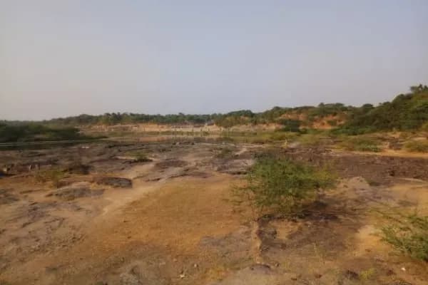 Adesar