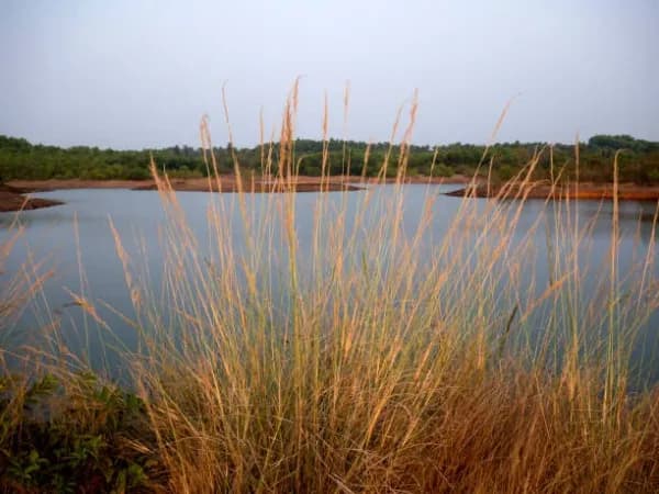 Agwanpur