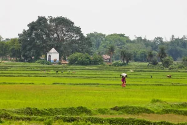 Alinagar