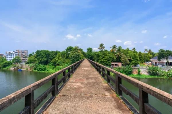 Aluva