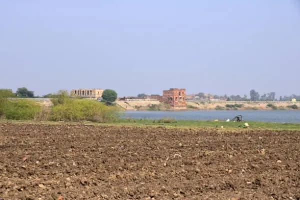 Amalsad