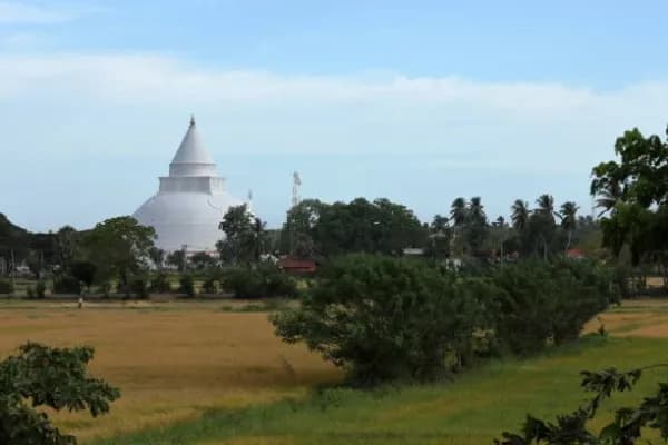 Ambagaon