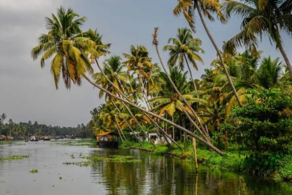 Angamaly