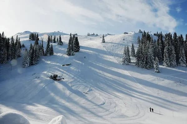 Jahorina