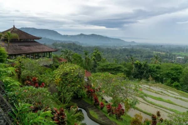 Balipara
