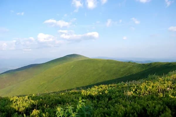 Alagar Hills R.F