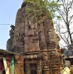 Ananta Vasudeva Temple, Bhubaneswar thumb 5