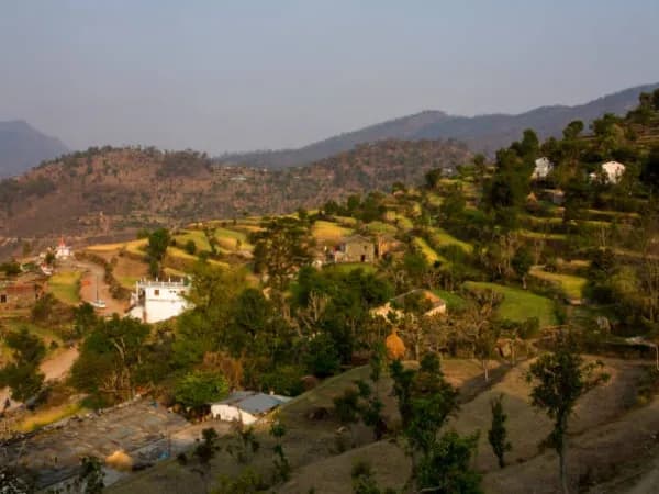Bazpur