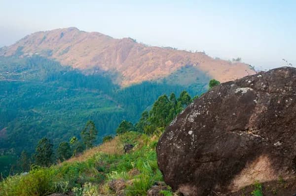 Dronagiri