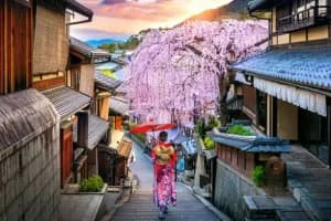Japan, Korea & Taiwan Highlights: 11N/12D Summer 2025