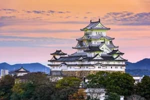 Japan Extravaganza 7 Nights & 8 Days