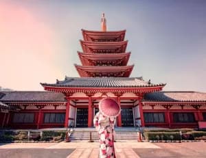 Cultural Journey Through Tokyo In 6Night
