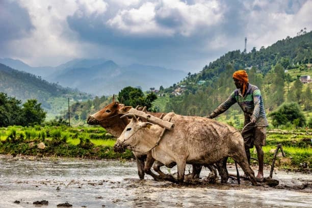 Kausani Travel Guide 2025