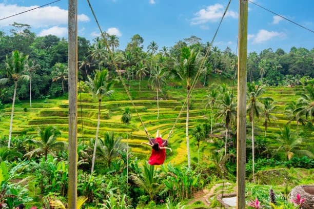Top Budget-Friendly Things to Do in Bali
