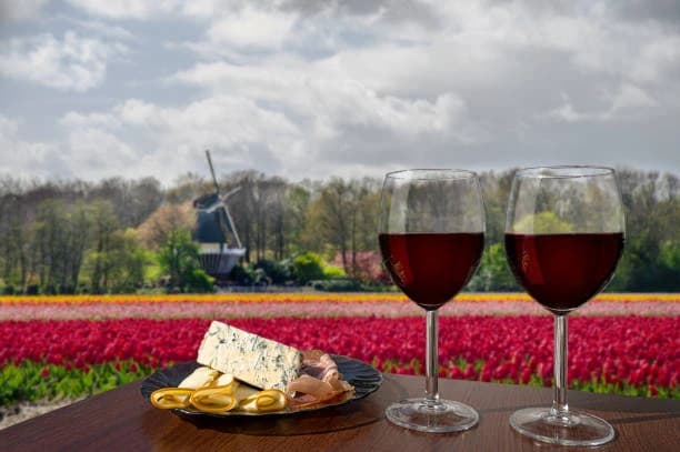 Wine Trails: Discover Vineyards Across the Netherlands
