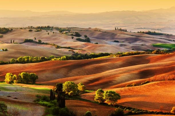 Wine Trails Italy: Discover Vineyards Across Regions